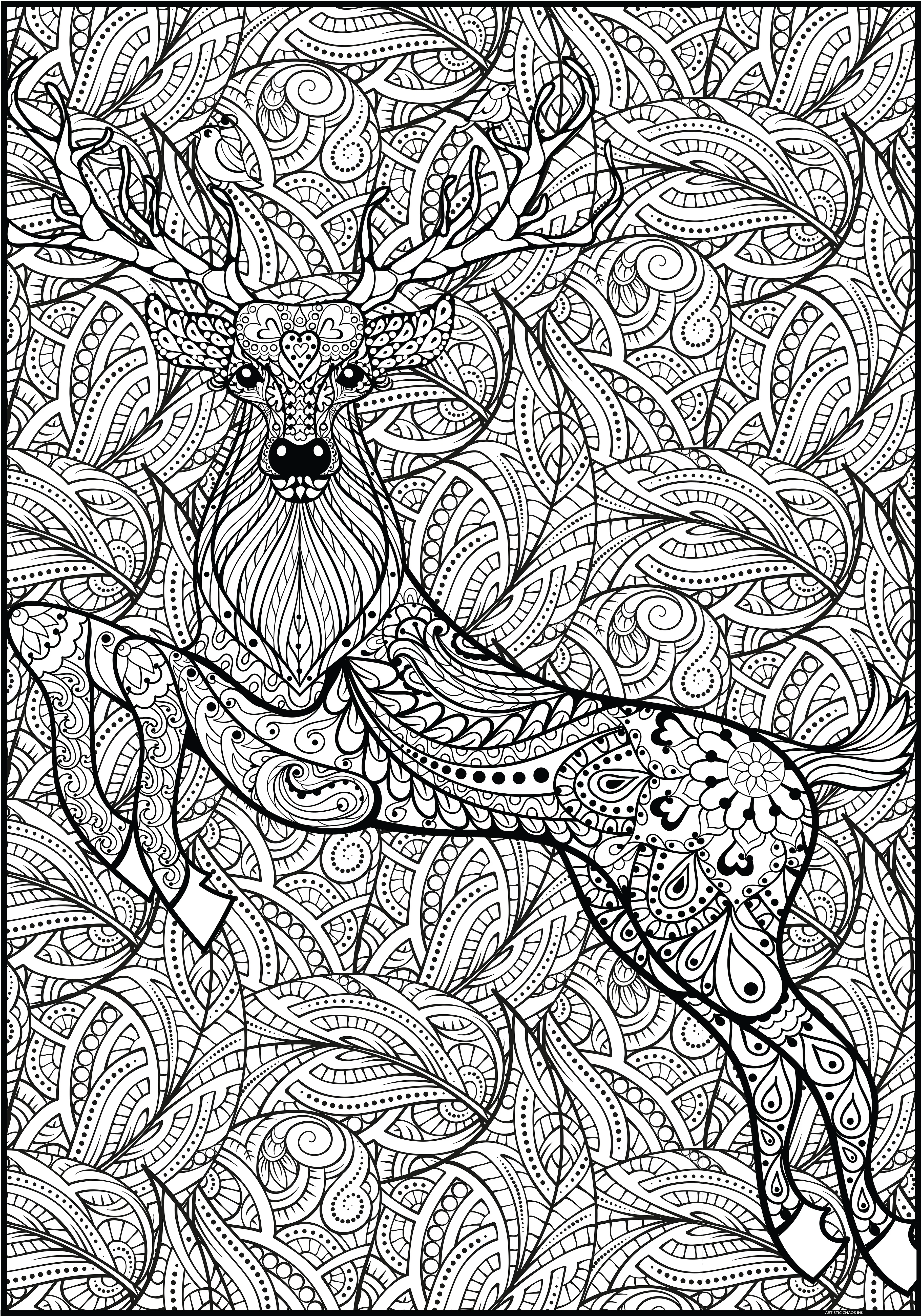 Deer Huge Coloring Poster - Giant Animal Coloring Page, Large Group Coloring Activity, Family Friendly - Image 3