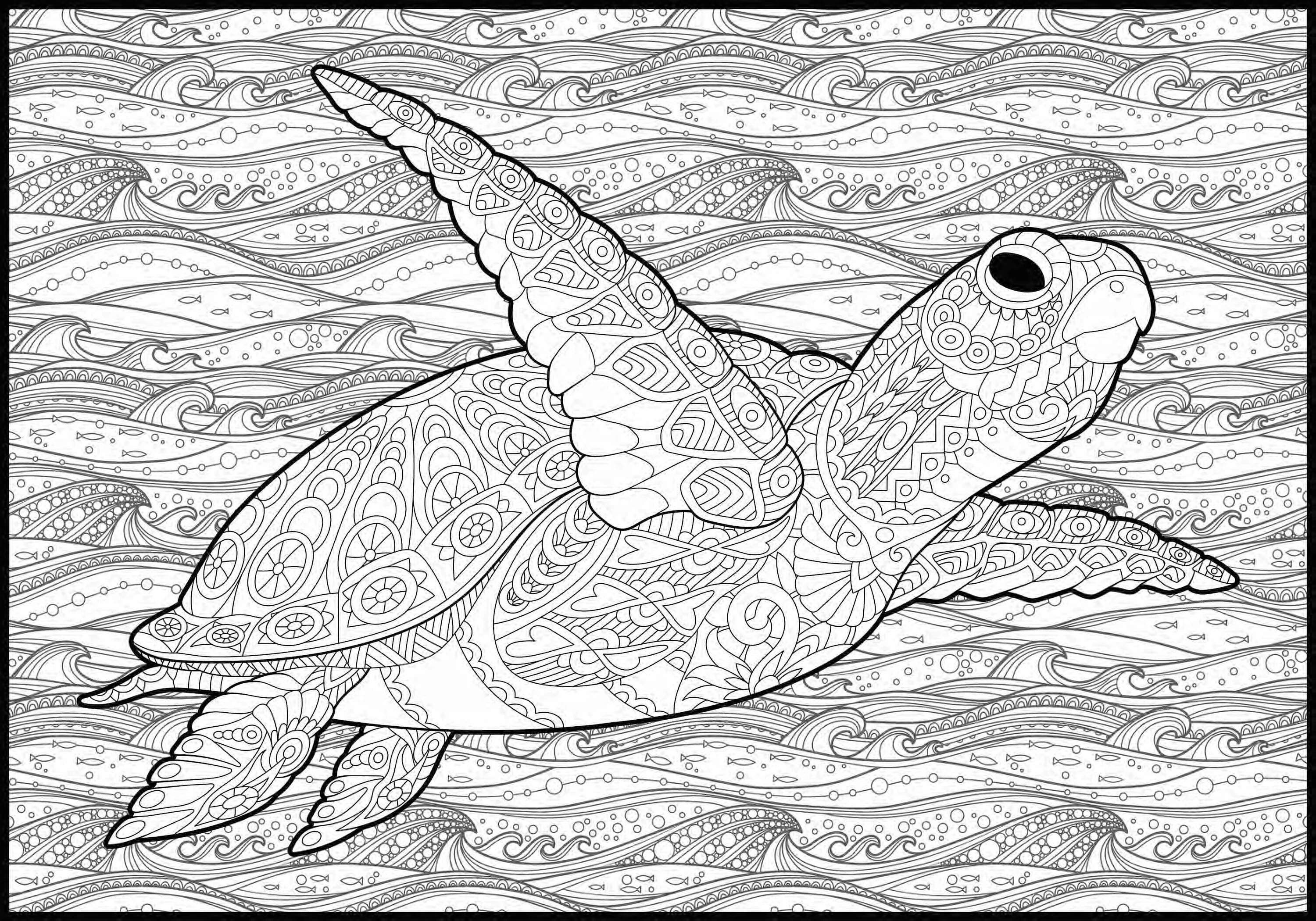Turtle Giant Coloring Poster- Large Reptile Wall Art, Group Coloring Activity for Kids, Families & Get Togethers - Image 3