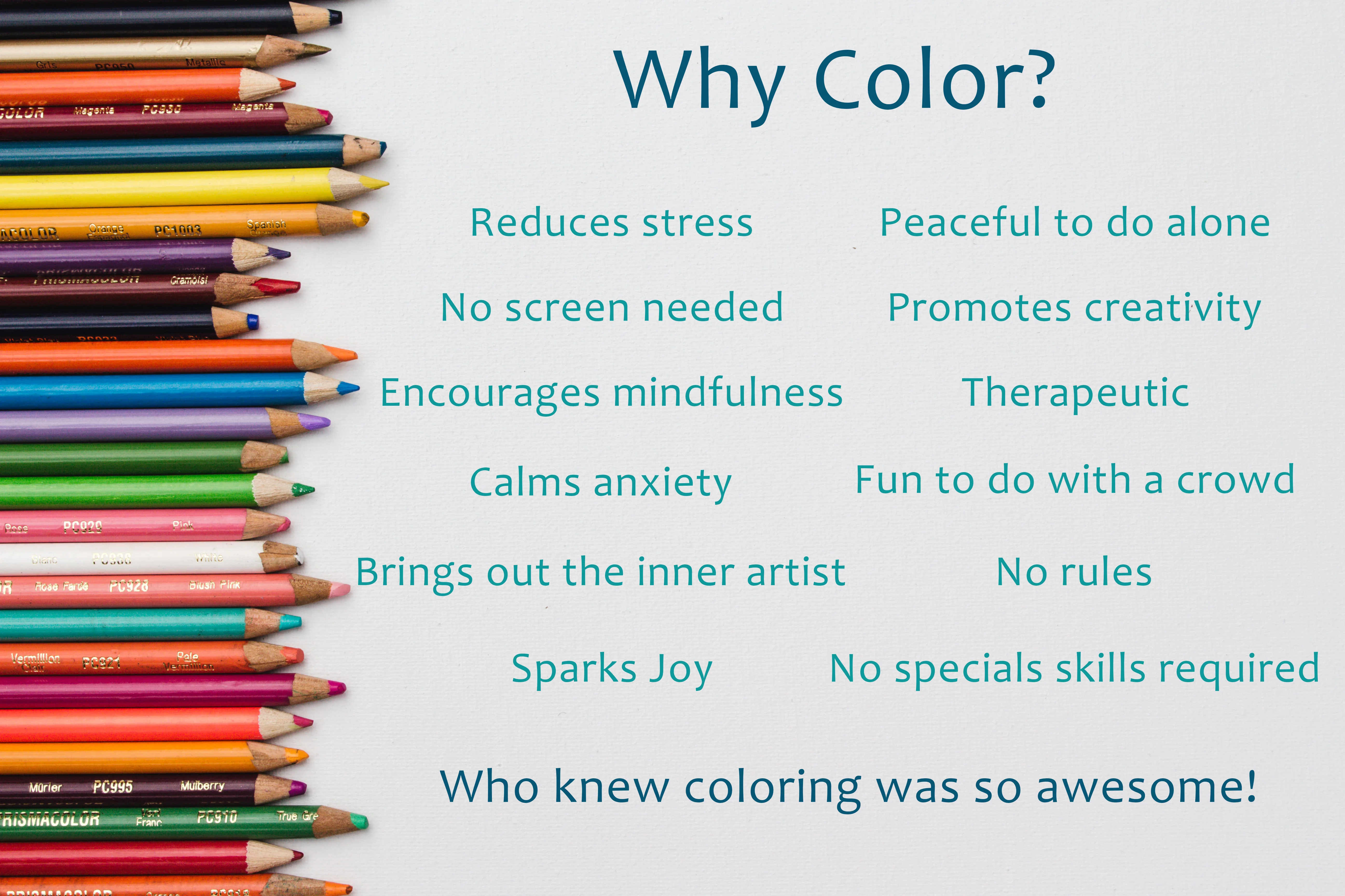 Under the Sea Coloring Roll - 18 Ft long - Image 11